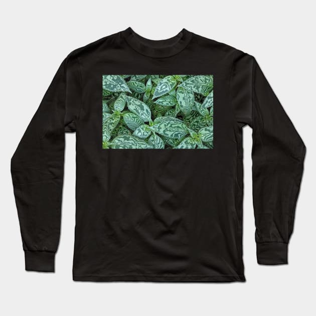 Transformation Long Sleeve T-Shirt by photoclique